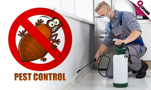 Pest Control: Cockroach & Bedbug Treatment Services!